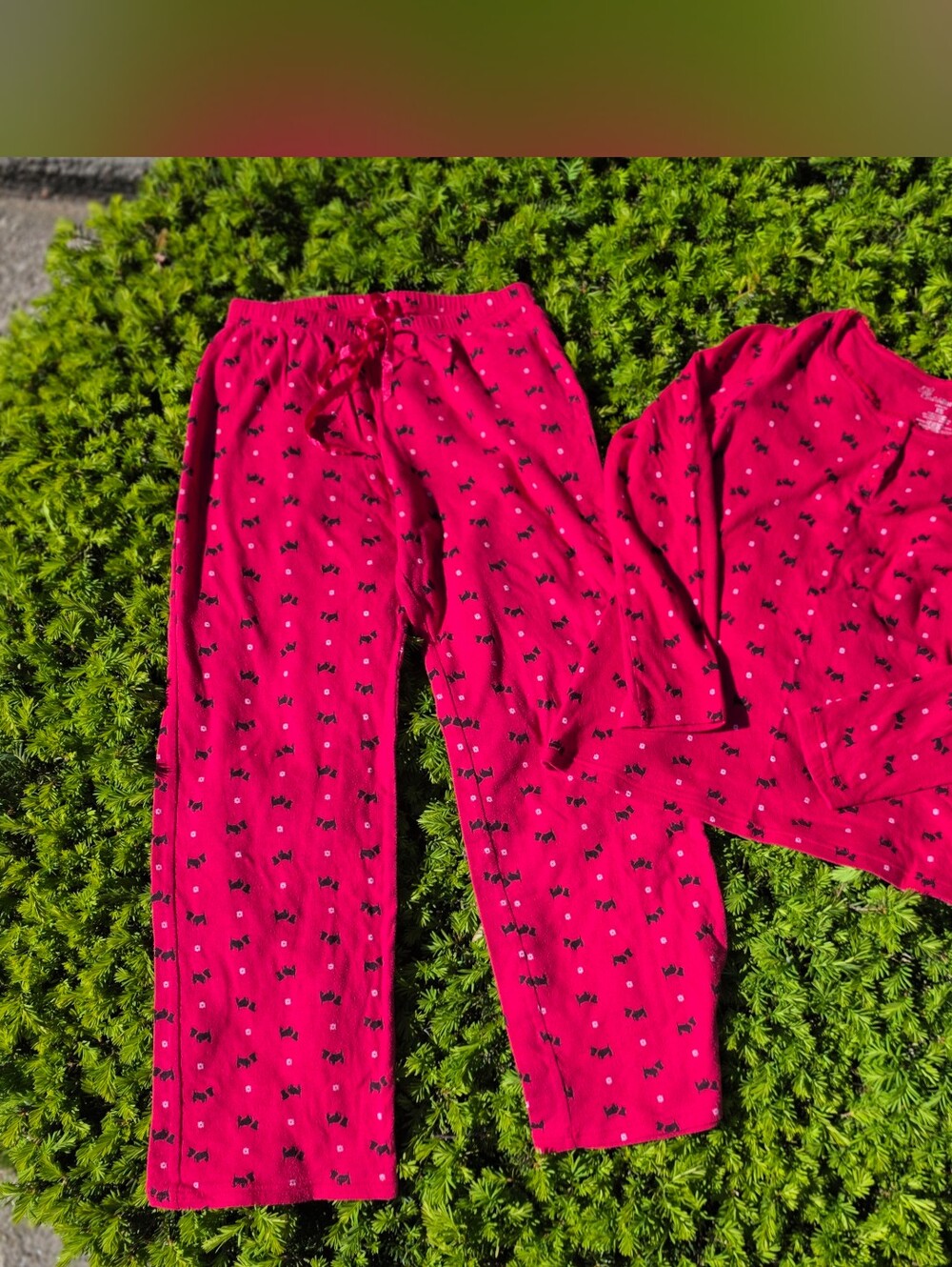 Croft & Barrow Red Pajama Set With Black Scottish Terrier Dog Print. Cotton. XS